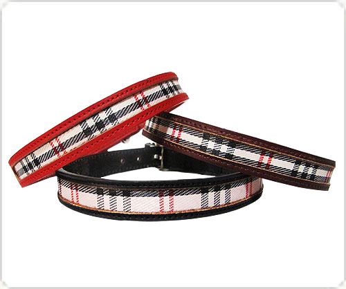 dog collars dog collar pet collar